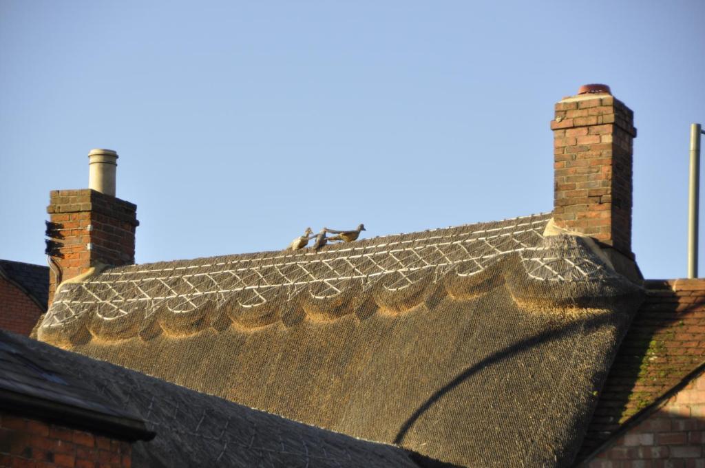 The Three Pigeons Inn Banbury Exterior photo